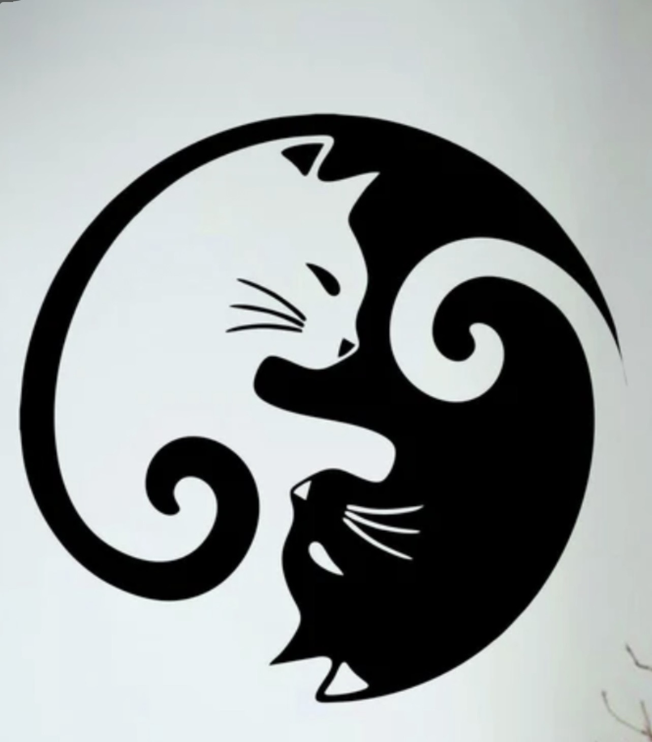 cat yin yang